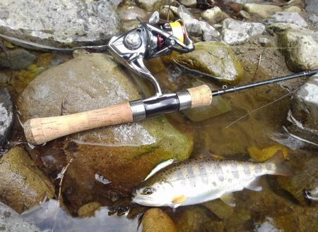 渓流ミノーイング